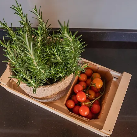 Vico Garden-203 By Rent * קומו