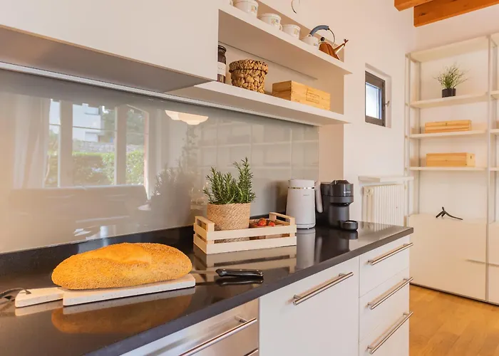 Appartement Vico Garden-203 By Rent *