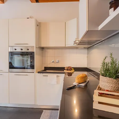 Apartment Vico Garden-203 By Rent